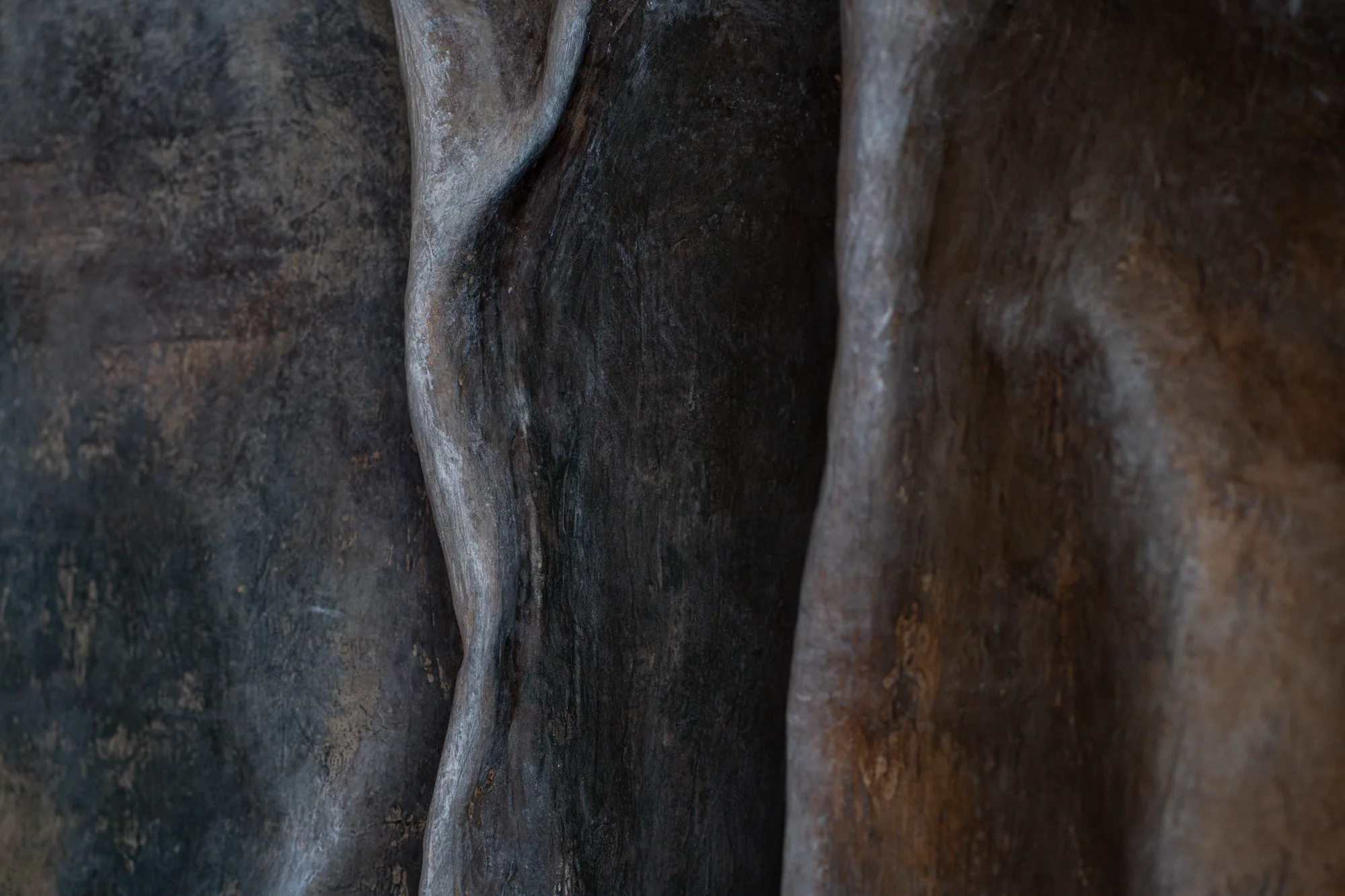 Veil of Stillness — VOS 01